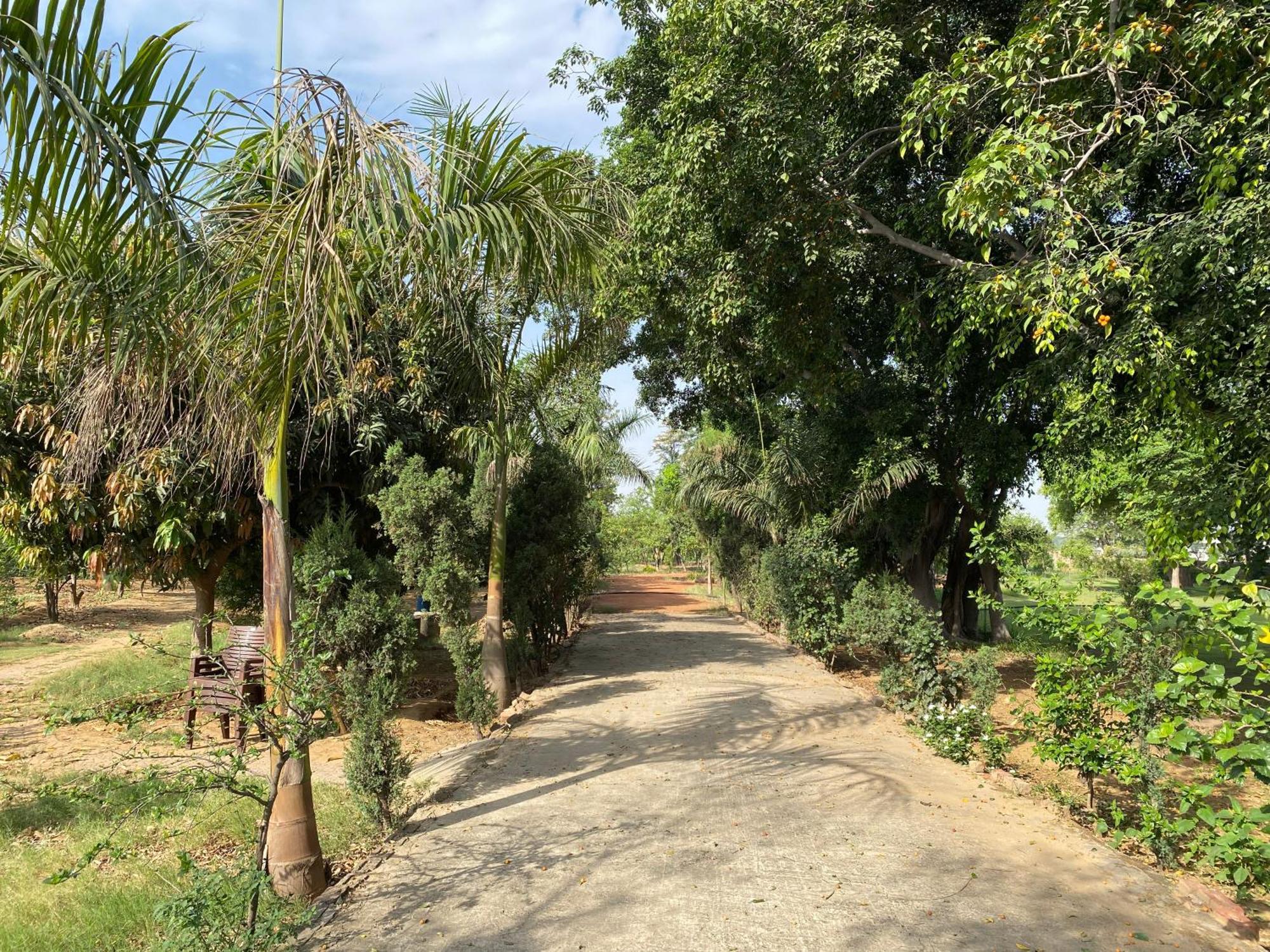 Orchard At Sarai Villa Гургаон Екстериор снимка